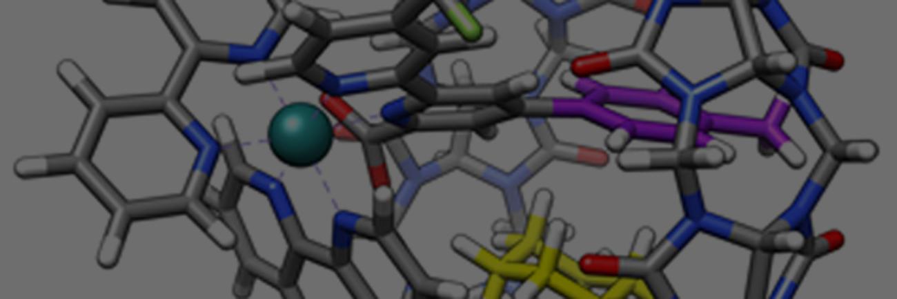 Cucurbit(8)uril macrocycle