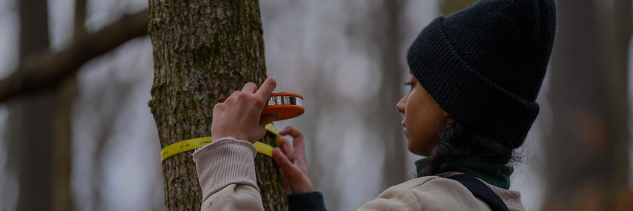An Ohio University student measures a tree at the Ridges Land Lab. 