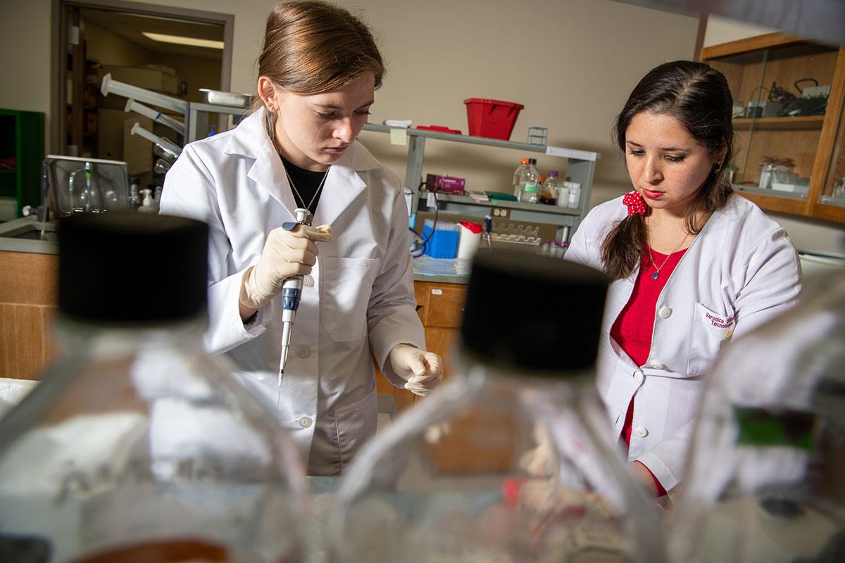 Two molecular & cellular biology students work in a lab with scientific equipment