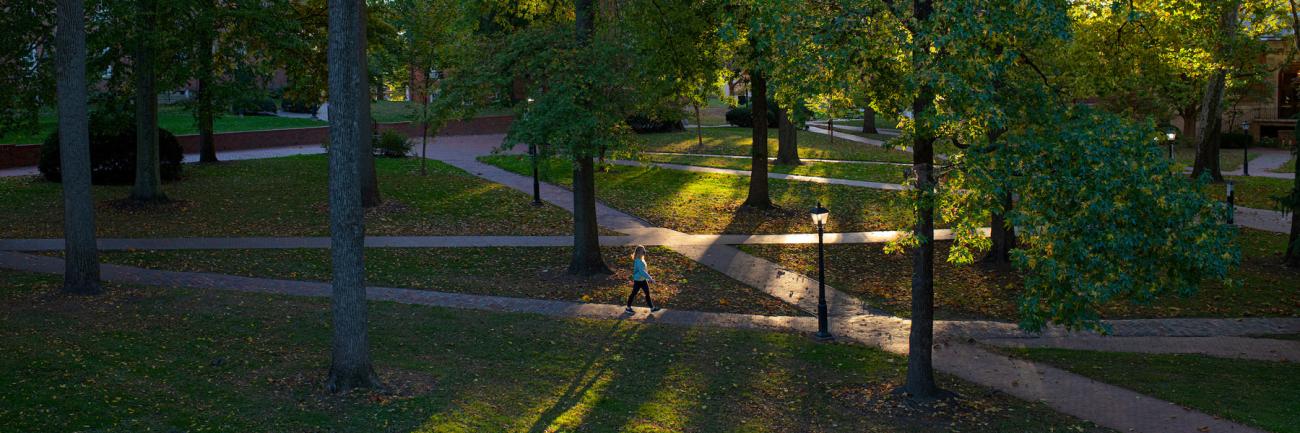 Sidewalks crisscross Ohio University's College Green  