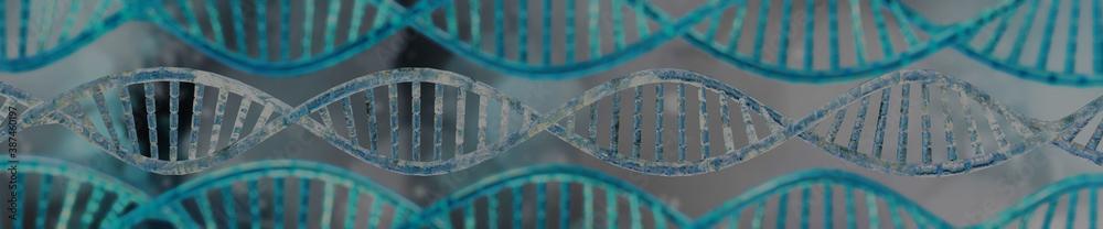 DNA strands