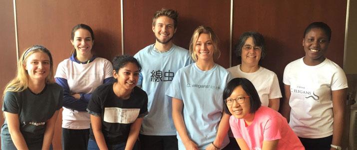 From Left: Sarah Springer, Kelly Hynes, Nikhita Shah, Alex Young, Ashley Nader, Dr. Duerr, Yue Sun, Cheryl Mukosiku