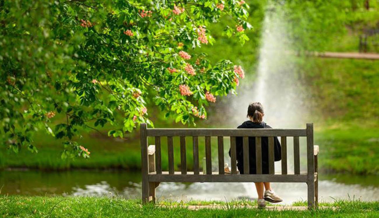 Woman sitting on a park bench surrounded by greenery and overlooking the Emeriti Park fountain