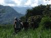 Students hiking in Costa Rica