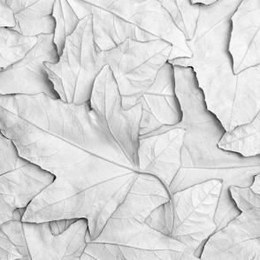 silver leaf prints