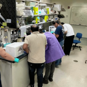 Many people working at a lab bench