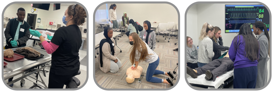 Photos from PreDOC programs