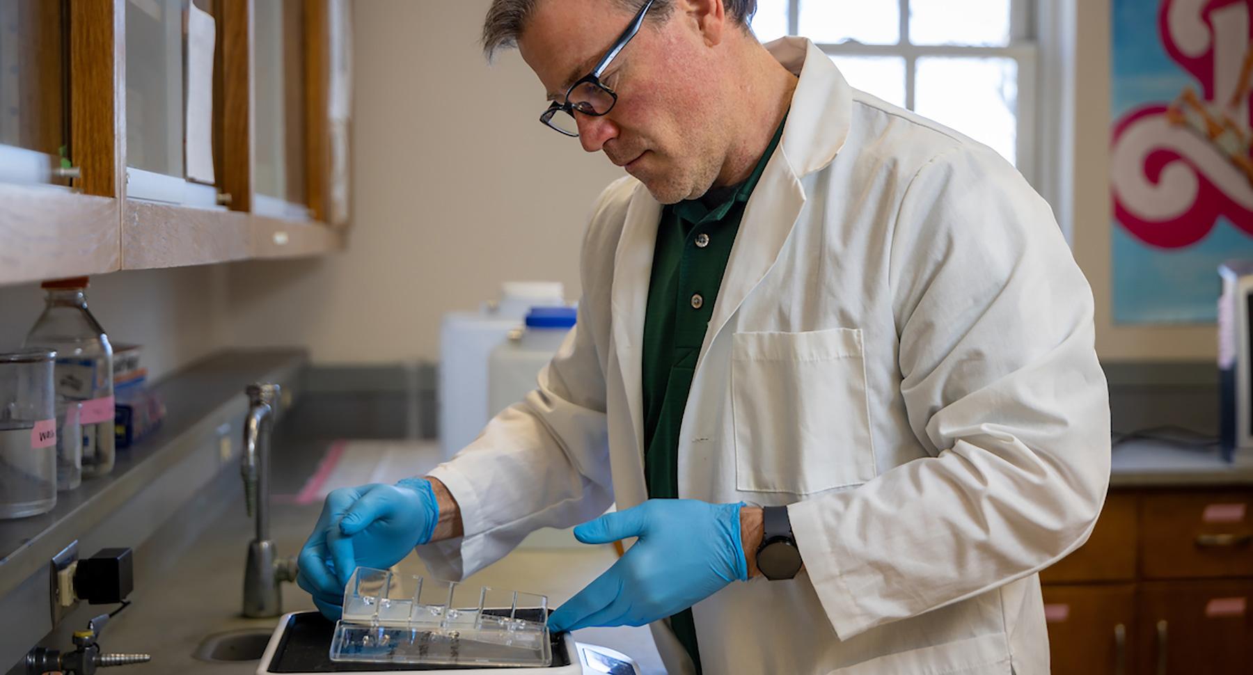 Researcher analyzing samples in a lab.