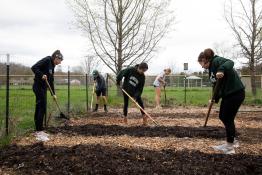 Students volunteering in garden on day of service