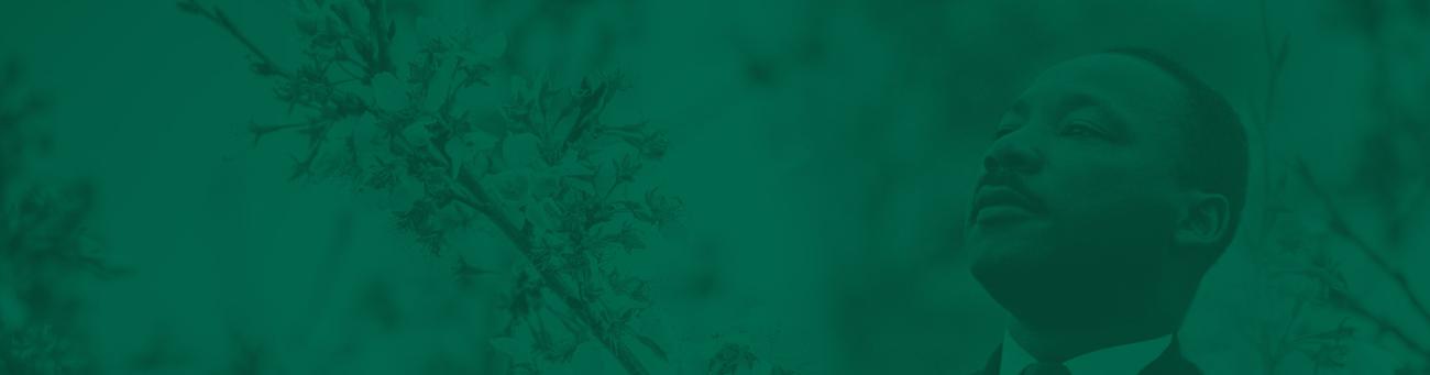 Martin Luther King Jr. with cherry blossoms and green overlay
