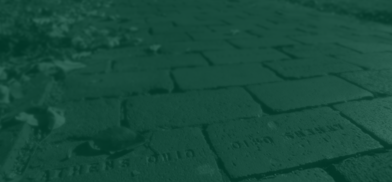 Blurred brick pathway with a leaves and a green overlay