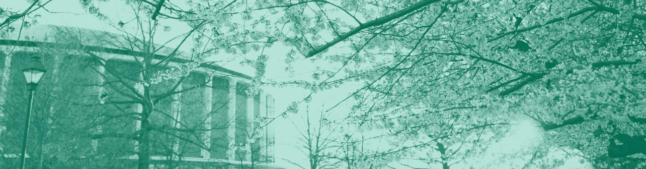 Ohio University convocation center with Cherry Blossoms in foreground