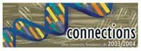 Connections theme banner