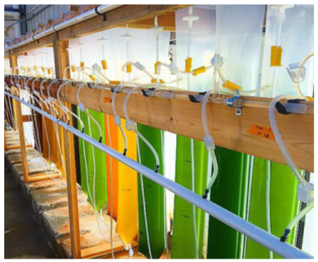 Bioreactor 06009