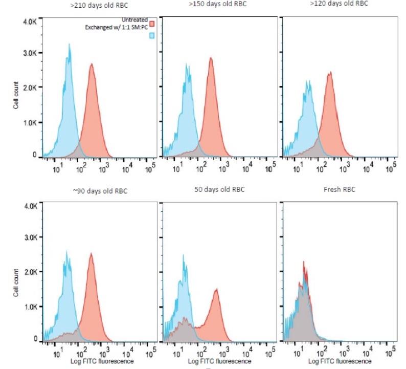 Charts displaying results of experiments on extending shelf life of red blood cells.