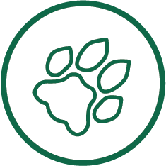 graphic displaying a paw print