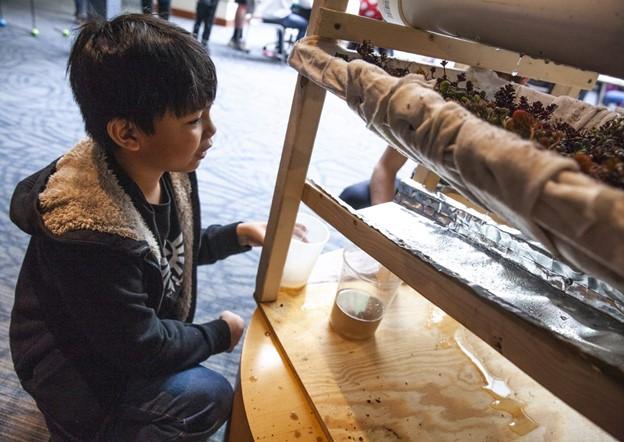 child exploring green roof model