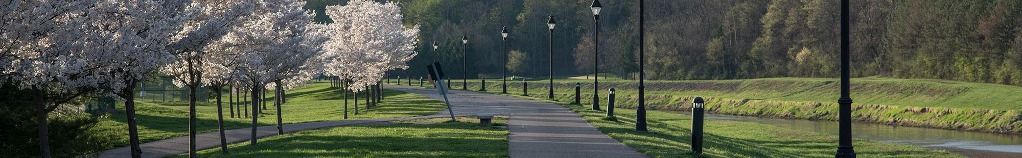 Bike Path in spring