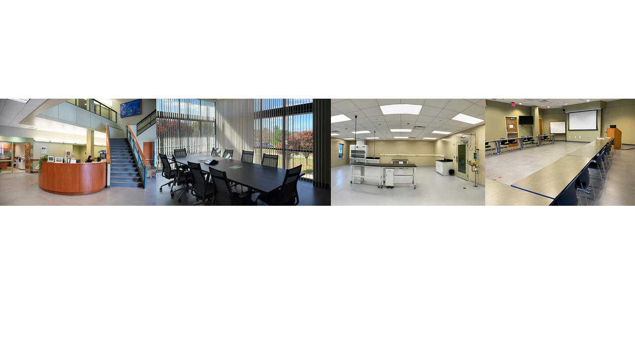 IC Collage Images
