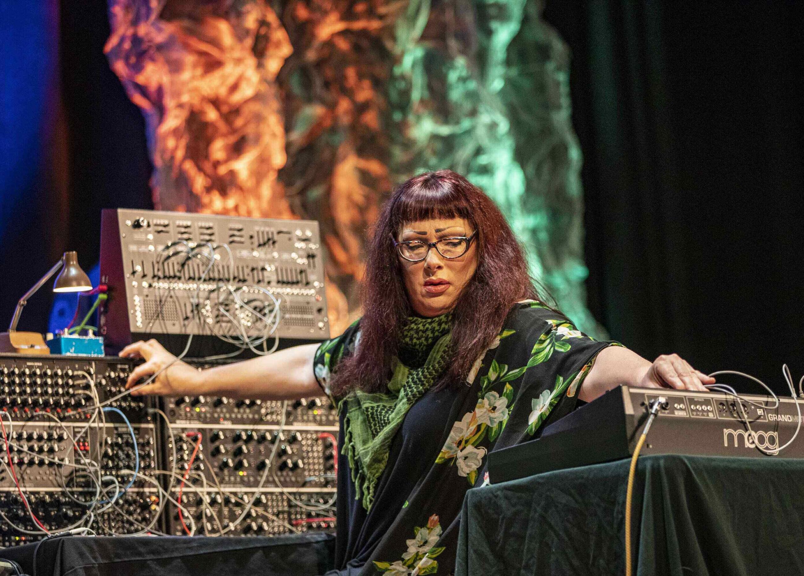 Lisa Bella Donna composed on Moog synthesizers