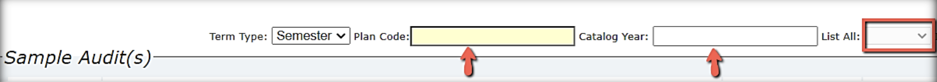 run a sample audit
