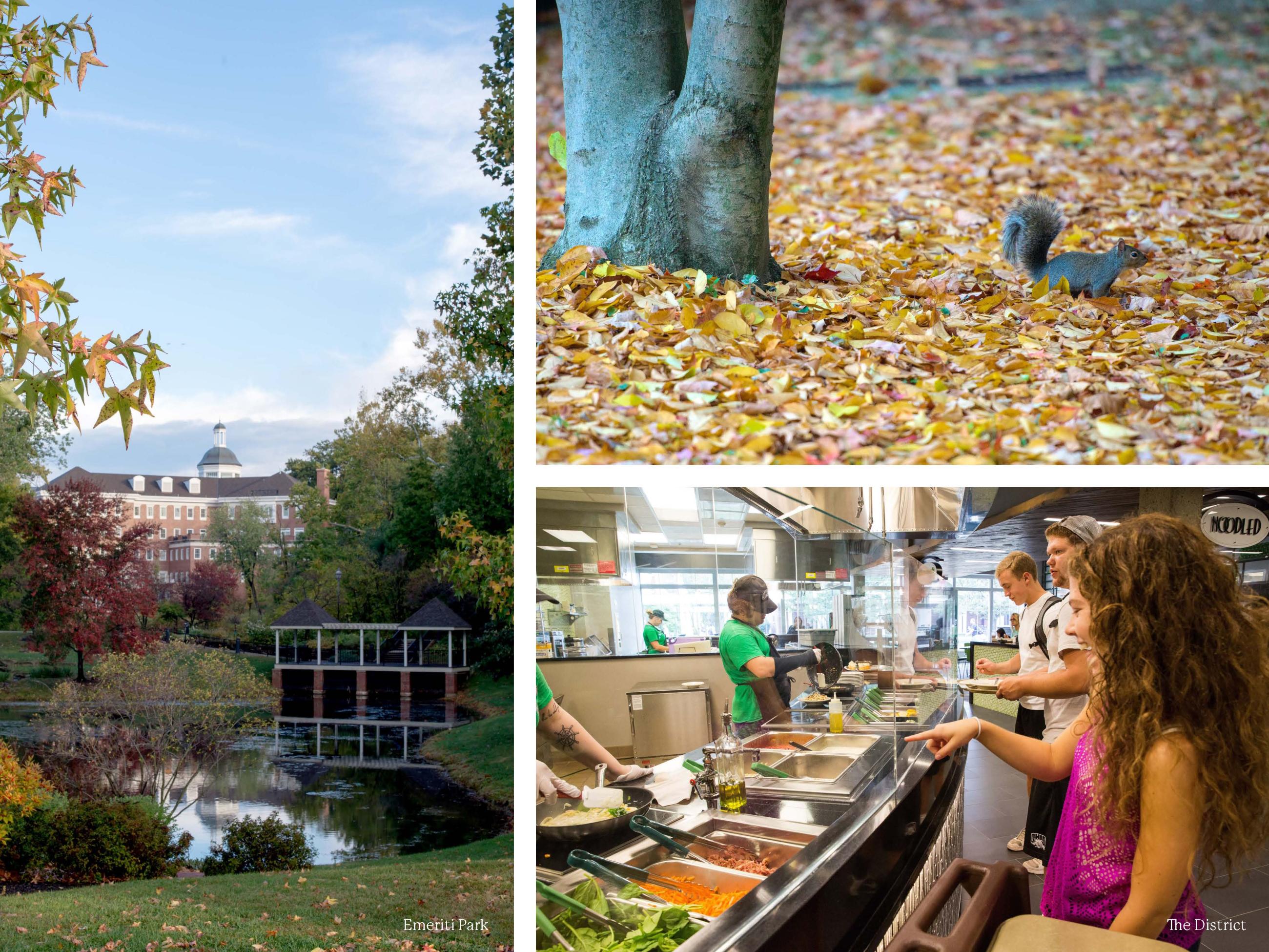 Emeriti Park, another picture of a squirrel at the base of a tree with fall foliage, and last picture of students having food prepared in The District dining hall