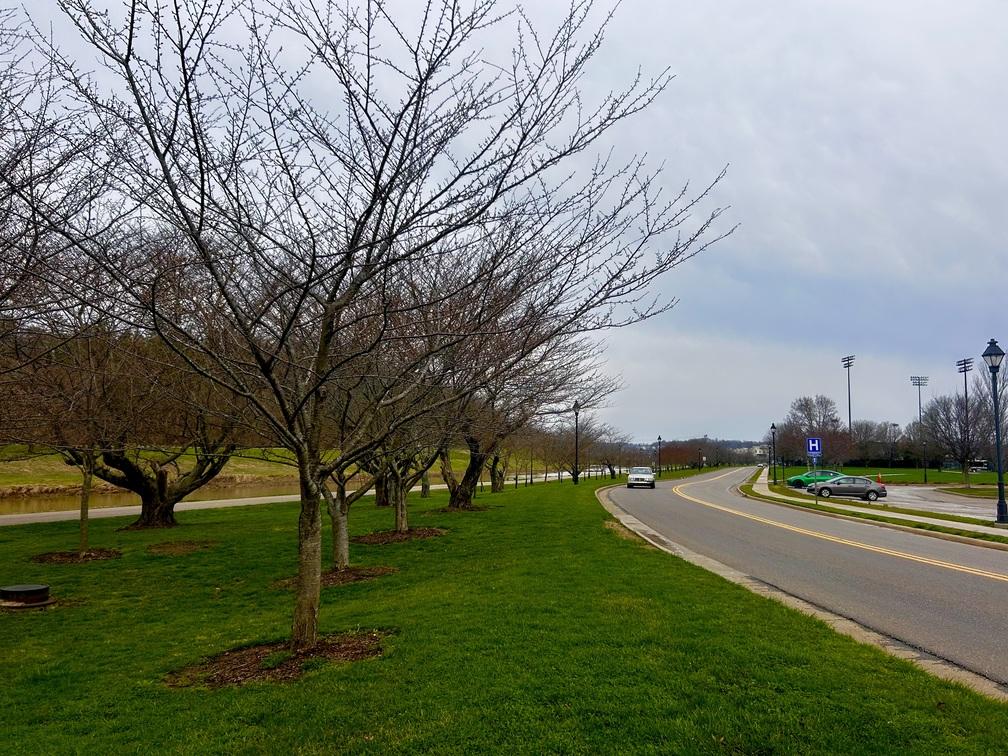 view along the road